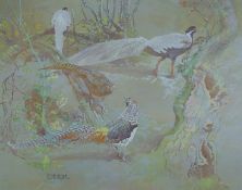 ENNION, ERIC (1900-1981) British (AR), Silver and Lady Amhurst's Pheasants, limited edition print,