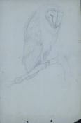 ENNION, ERIC (1900-1981) British (AR), Barn Owl,