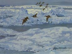 SHACKLETON, KEITH (1923-2015) British (AR), Late Summer in the Beaufort Sea - Oldsquaw,