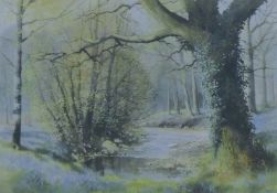 ASHLEY BRYANT, 'Bluebell Wood', limited edition print, numbered 237/850, signed in pencil to margin,