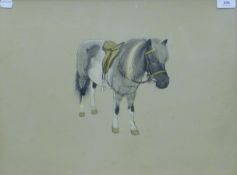 Attributed to MAURICE WILSON (1914-1987), 'Norwegian Pony', watercolour and pencil, unsigned,