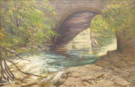 VERA C EVANS, 'River Vyrnwy North Wales', oil on board, signed, framed. 39.5 x 59 cm.
