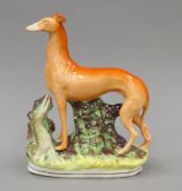 A Victorian Staffordshire porcelain standing coursing greyhound. 25.5 cm high.