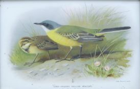 ARCHIBALD THORBURN (1860-1935) British, a set of ten prints depicting 'British Birds',