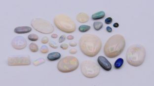 A collection of opals. The largest 2.5 cm long.