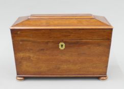 A 19th century mahogany tea caddy. 32.5 cm wide.