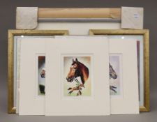 A collection of prints/sketches etc of famous racehorses, including Red Rum, Arkle ,