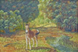 BERNIE CLARKSON, 'Foal in Woodland', oil on board, signed, framed. 44.5 x 65 cm.