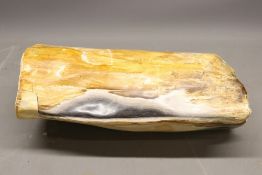 Large petrified wood specimen, comprising a section of fossilised tree trunk of cylindrical form.