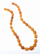 A single strand of Baltic amber made up of 32 oval beads, largest 15.2 x 17. 6 and the smallest 8.