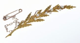 A 15ct gold brooch in the form of a fern set with pearls, in antique box, 4.1g, 6cm