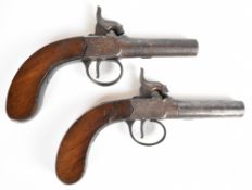 A pair of percussion hammer action pocket pistols each with engraved lock, trigger guard and top