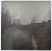 Sonia Stanyard (b.1973) oil on canvas beck, pond, stream or similar surrounded by trees in twilight,