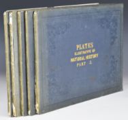 [Hand-Coloured] Thirty Plates Illustrative of Natural History, with a short description annexed to
