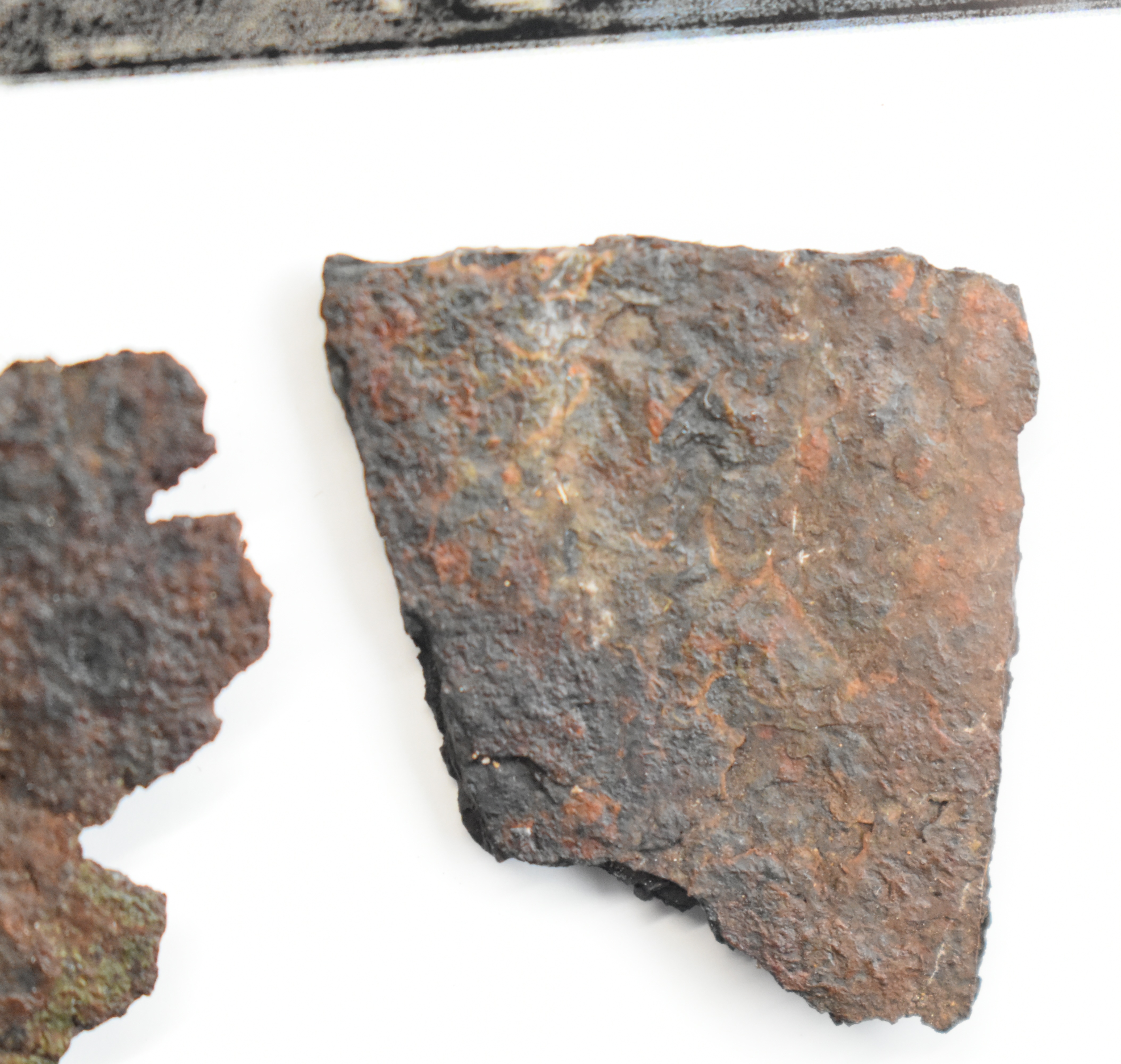 [RMS Titanic] a pair of 'rusticles' removed from 'The Big Piece', ie ...