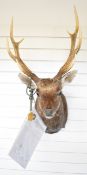 Paul Taylor taxidermy Japanese sika stag head and shoulder mount, gold medal winner scoring 258.0,