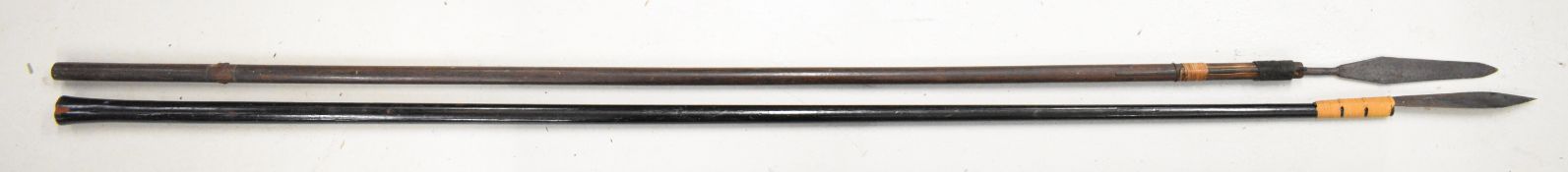 Two tribal blowpipe spears with raffia bindings, longest 210cm