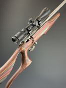 Savage Mark II .22 bolt action rifle with laminate show wood skeleton stock, raised cheek piece,