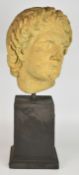 Two classical style busts on plinths, tallest 60cm