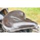 1925 Ner-a-Car model C motorcycle with Blackburne 350cc sidevalve four stroke engine - Image 13 of 25