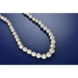 A single strand of fifty graduated natural saltwater pearls ranging from 6.5mm to 10.3mm, total