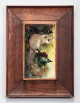 Taxidermy: A Wall Cased European Edible Dormouse (Glis glis), modern, by A.J. Armitstead,