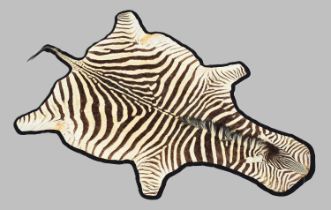Skins/Hides: Burchell's or Plain's Zebra Hide Rug (Equus quagga), late 20th century, South Africa, a