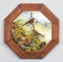Taxidermy: A Wall Cased Pair of Twite (Linaria flavirostris), captive bred, dated 2010, by A.J.