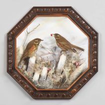 Taxidermy: A Wall Cased Pair of Redwings (Turdus iliacus), dated 2007, by A.J. Armitstead,