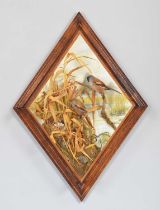 Taxidermy: A Wall Cased Pair of Bearded Reedlings (Panurus biarmicus), captive bred, dated 2007,