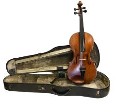 Viola