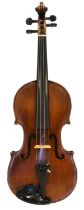 Violin