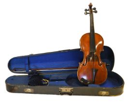 Violin