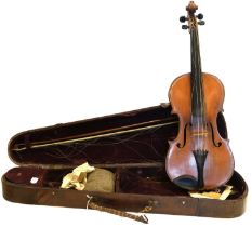 Viola