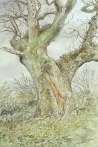 Alan Reynolds Stone CBE, RDI (1909-1979) Tree Signed and dated (19)63, ink and watercolour, 52.5cm