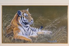David L Prescott, 20th century, an acrylic study of a recumbent tiger amidst grassland,