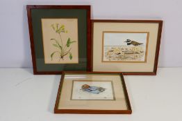 Two watercolour avian studies, artists monogram LA and dated (19)85 and a floral study.