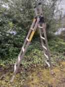 A pair of traditional Aluminium Stepladders with folding action
