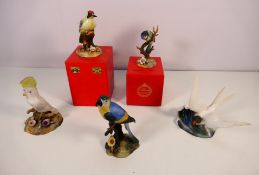Royal Crown Derby - Five avian studies comprising Tern, Green Woodpecker (boxed), Blue Tit (boxed),