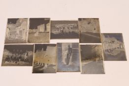 Glass Slides - A collection of various images on Glass Slides, to include a dog sitting in a garden,