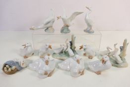 A collection of Lladro and Nao avian studies, geese and ducks, largest approximately 12.