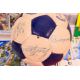 Lot to include an Everton Football Club - Image 6 of 8