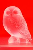 A Lalique frosted glass Shivers Owl figure, signed Lalique, France to the base,