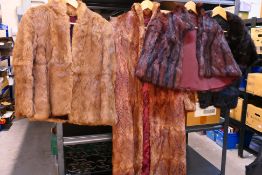 Three fur coats / jackets, no makers labels, one marked 43, largest approximately 105 cm (l),