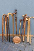 A good collection of walking sticks including one with animal head form handle,