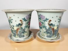 A large pair of 20th century Chinese celadon glaze famille rose porcelain planters on circular