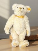 A Steiff Millennium Teddy bear