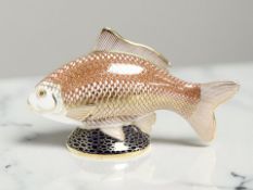 A Royal Crown Derby Golden Koi Carp paperweight, no stopper,