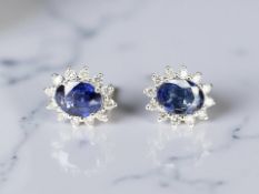 A pair of 18ct white gold sapphire and diamond cluster earrings,