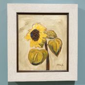 Stephanie P Dingle (1926-2017) Sunflower II, oil on board, 30 cm x 34 cm.